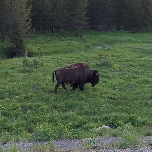 Meet your Posher, Nathan